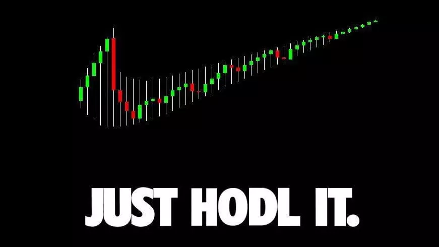 hodl meme image