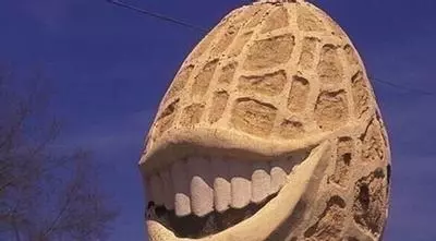 this pleases the nut