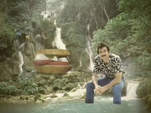 selleck waterfall sandwich meme image