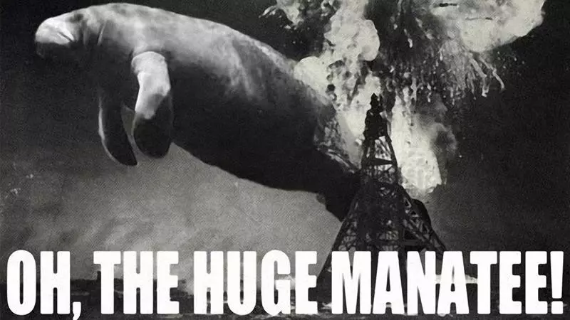 oh the huge manatee meme image