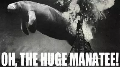 oh the huge manatee