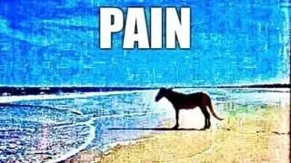 pain how do you manage pain meme image