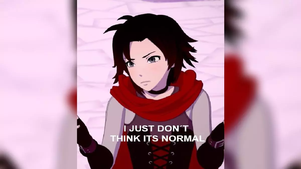 homophobic ruby meme image