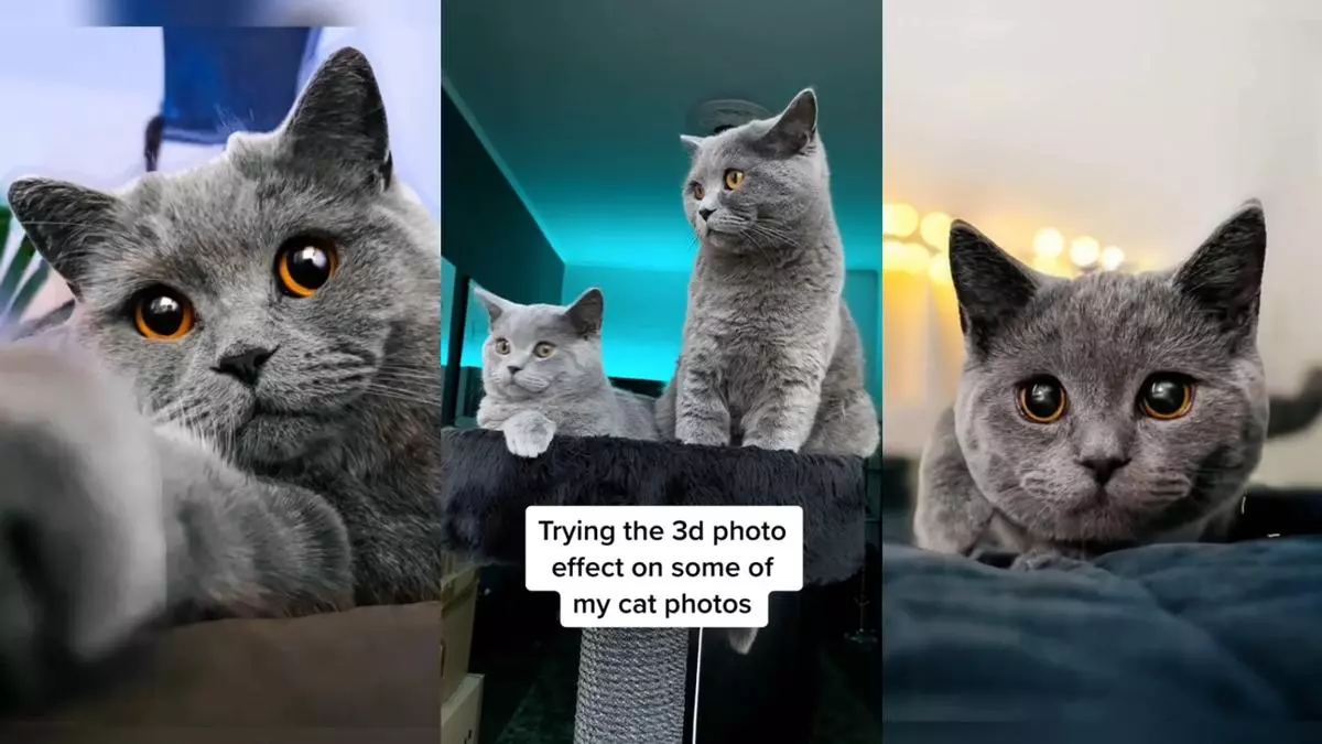 3d photo trend phonky town meme image