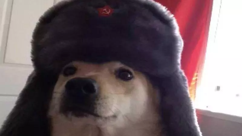 comrade doggo meme image