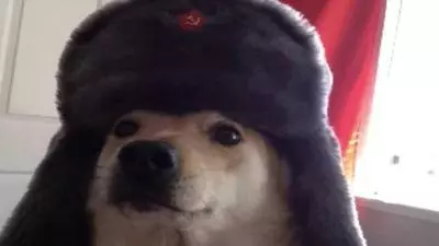 comrade doggo