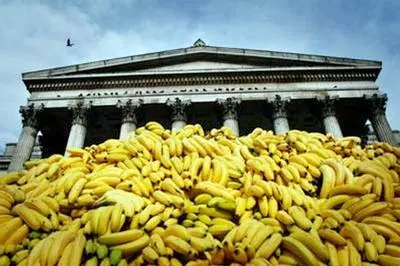 suddenly bananas thousands of them