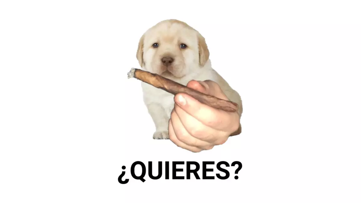 quieres meme image