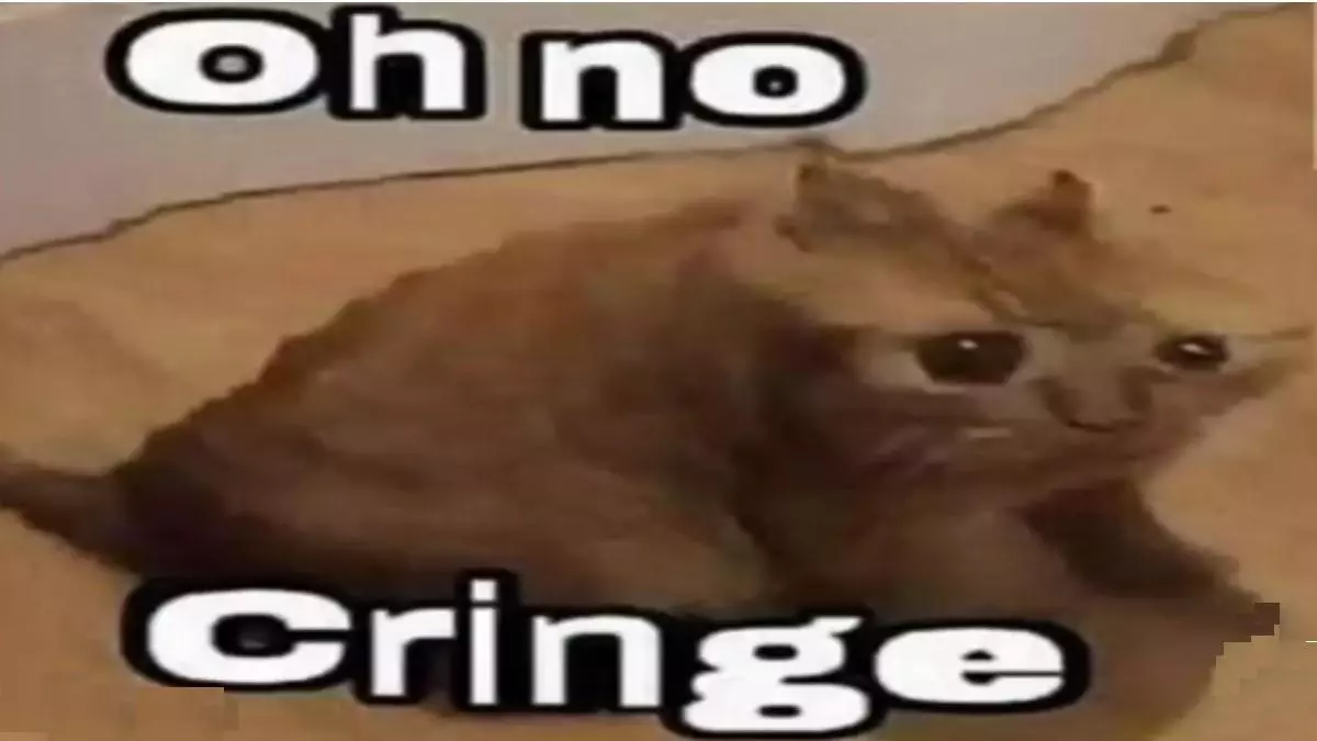 oh no cringe meme image