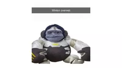 winton overwat overwatch