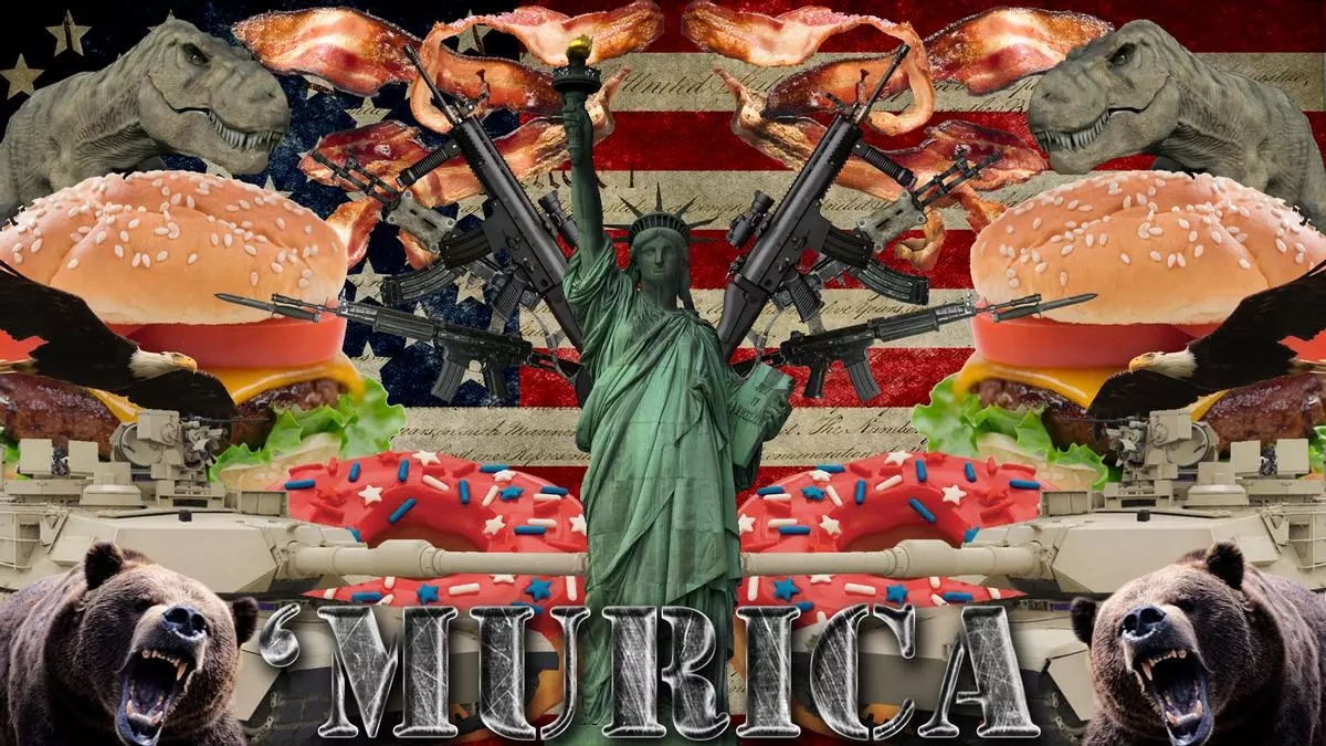 murica meme image