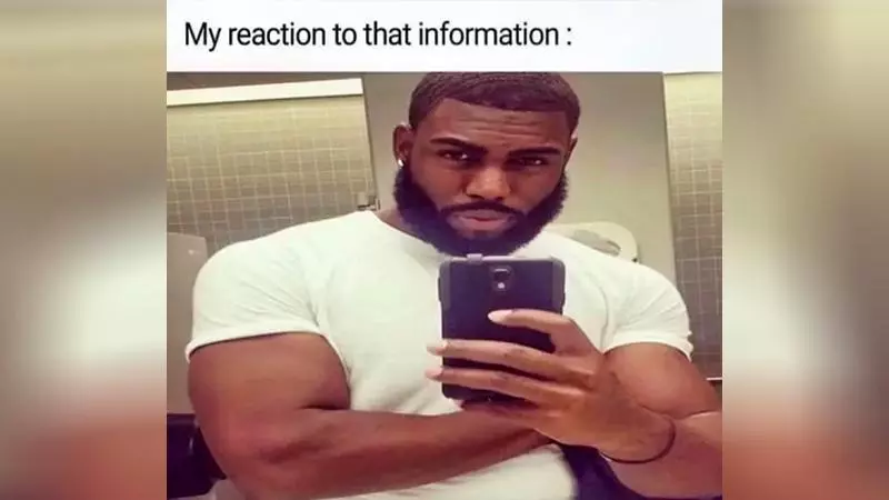 my reaction to that information meme image