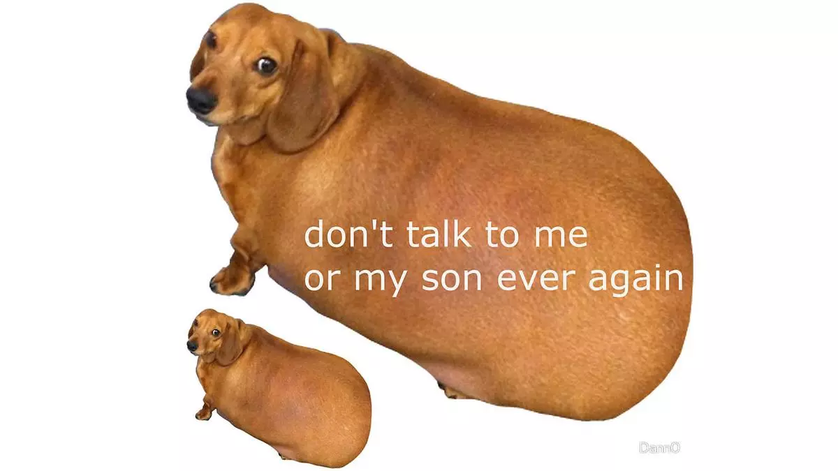 dont talk to me or my son ever again meme image