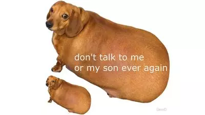 dont talk to me or my son ever again
