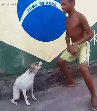 brazil dog dance meme image