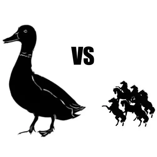 horse sized duck meme image