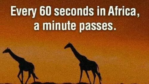 every 60 seconds in africa a minute passes meme image