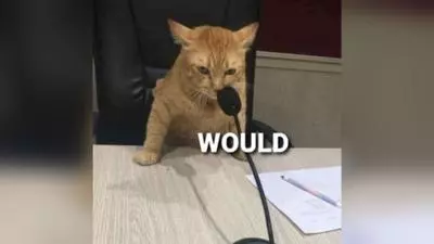 would reaction images
