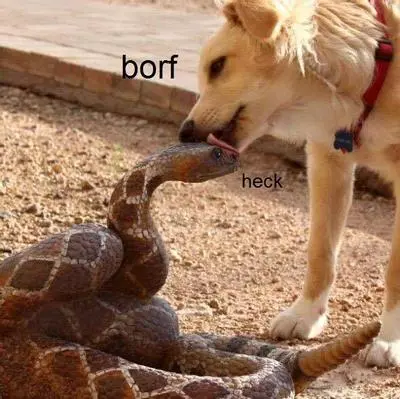 snek
