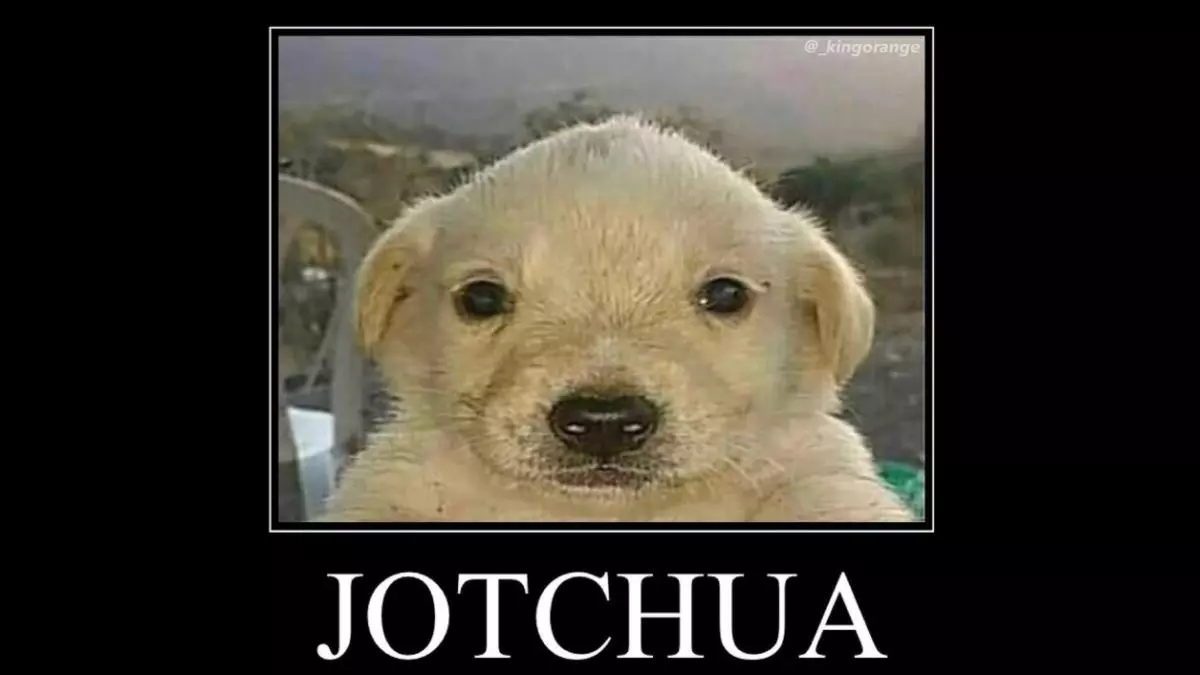 jotchua meme image