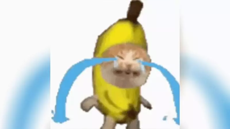 sad banana cat meme image