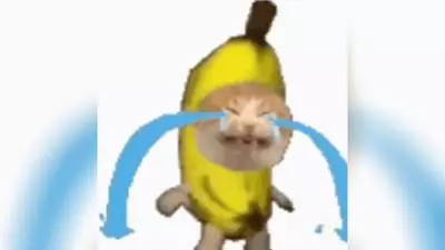 sad banana cat