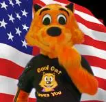 cool cat saves the kids