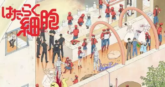 hataraku saibou cells at work meme image