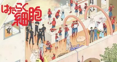 hataraku saibou cells at work