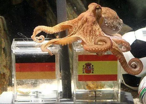 paul the octopus meme image
