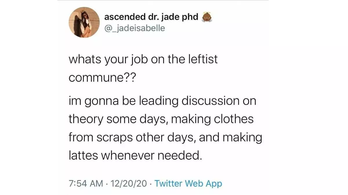 whats your job on the leftist commune meme image