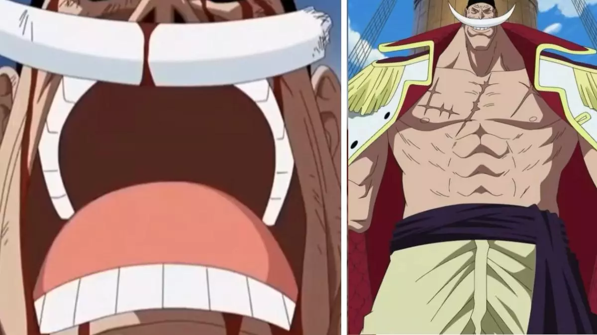 the one piece is real meme image