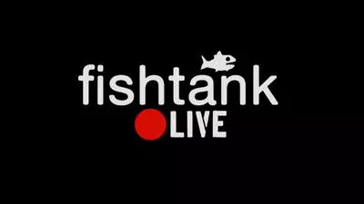 sam hydes fishtank live