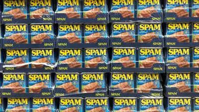 spam spammed