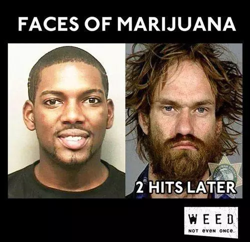 faces of marijuana meme image