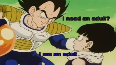 i need an adult
