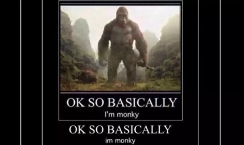 ok so basically im monky meme image