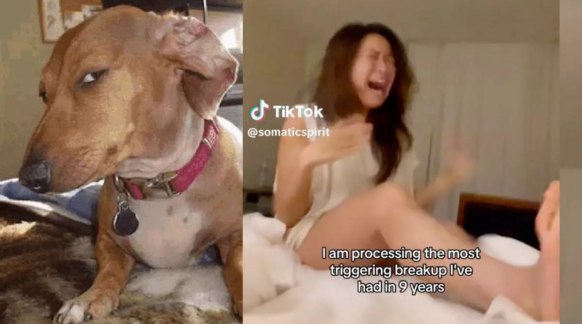 im processing the most triggering breakup ive had in nine years meme image