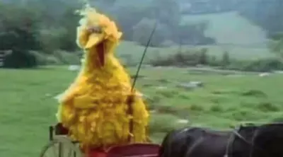we ride at dawn bitches
