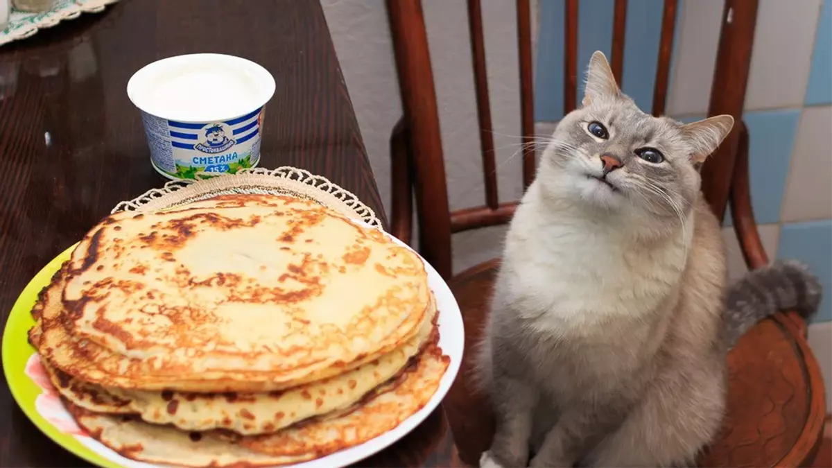 blini cat meme image