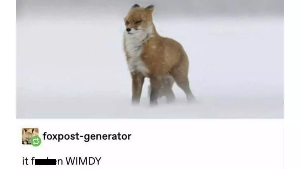 it fucken wimdy meme image