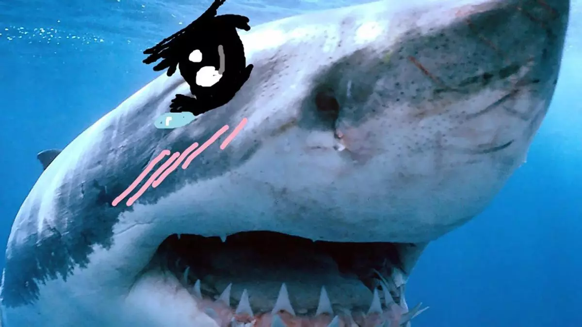 tsundere sharks meme image