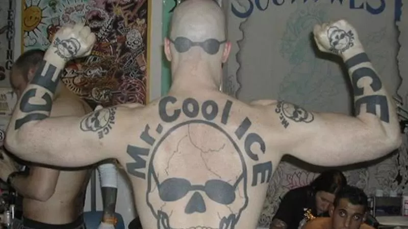 mr cool ice meme image