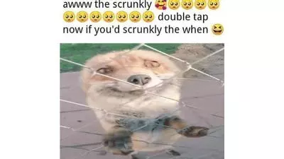 awww the scrunkly