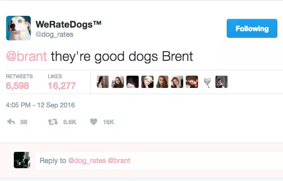 theyre good dogs brent meme image