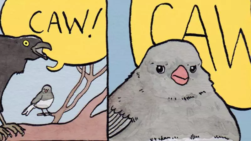 annoyed bird meme image