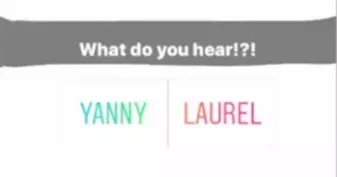 yanny or laurel meme image