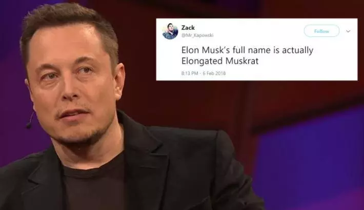 elongated muskrat meme image