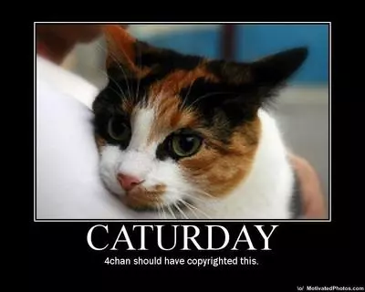 caturday