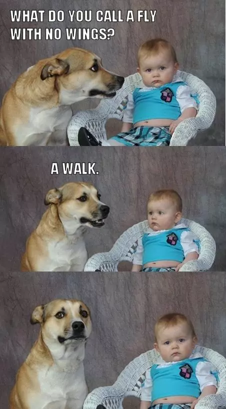 dad joke dog meme image